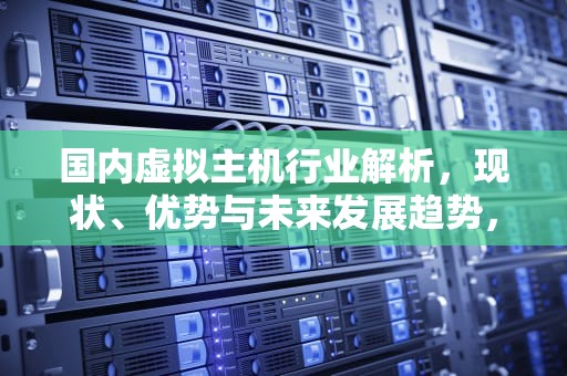 国内虚拟主机行业解析，现状、优势与未来发展趋势，国内虚拟主机购买