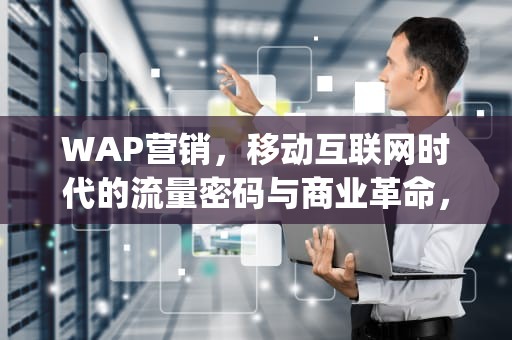 WAP营销，移动互联网时代的流量密码与商业革命，wap营销的特点包括