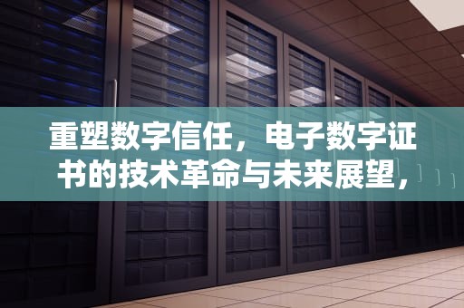 重塑数字信任，电子数字证书的技术革命与未来展望，电子数字证书是什么意思