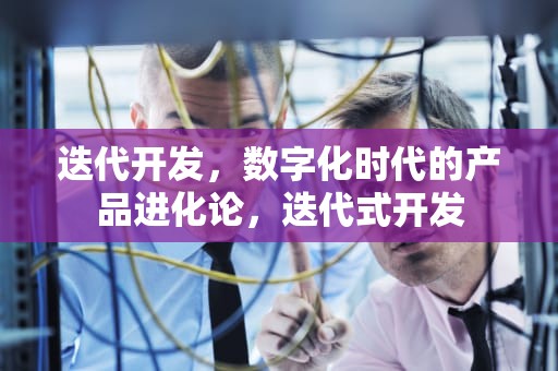 迭代开发，数字化时代的产品进化论，迭代式开发
