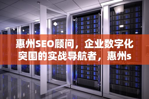 惠州SEO顾问，企业数字化突围的实战导航者，惠州seo公司