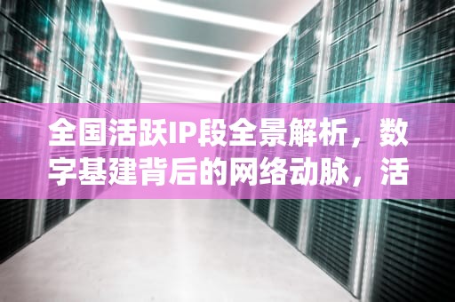 全国活跃IP段全景解析，数字基建背后的网络动脉，活跃ip段是怎样查的