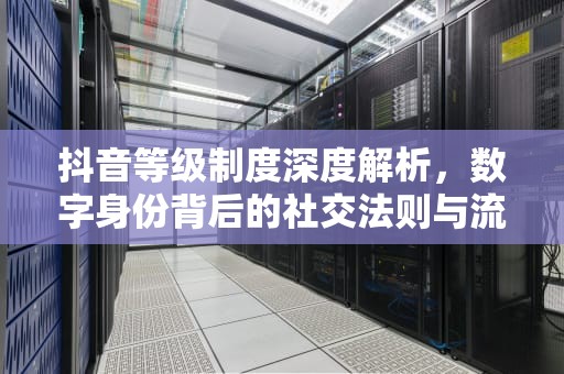 抖音等级制度深度解析，数字身份背后的社交法则与流量密码，抖音等级价格表
