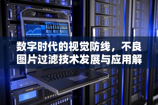 数字时代的视觉防线，不良图片过滤技术发展与应用解析，不良图片过滤软件
