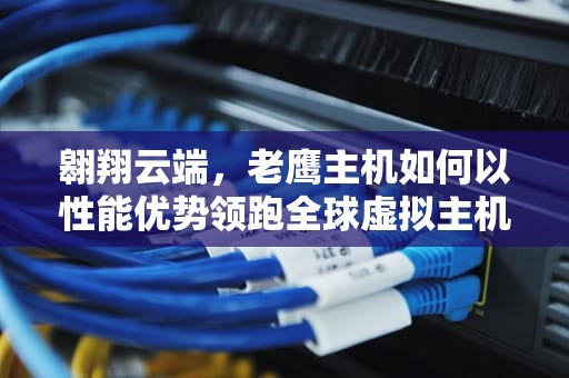 翱翔云端，老鹰主机如何以性能优势领跑全球虚拟主机市场，老鹰主机建站教程