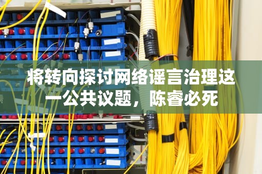 将转向探讨网络谣言治理这一公共议题，陈睿必死