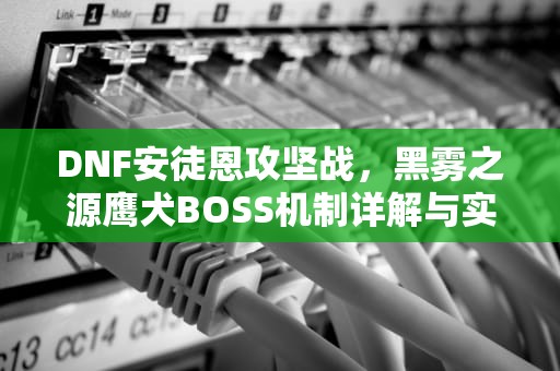 DNF安徒恩攻坚战，黑雾之源鹰犬BOSS机制详解与实战攻略，dnf鹰犬怎么打