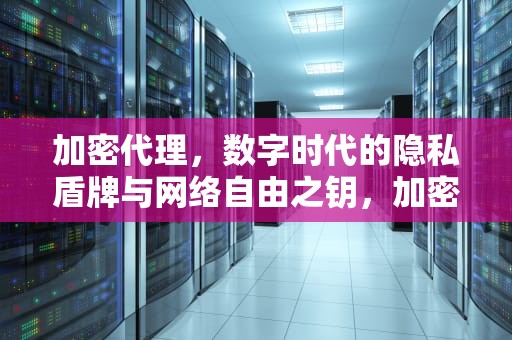 加密代理，数字时代的隐私盾牌与网络自由之钥，加密代理软件