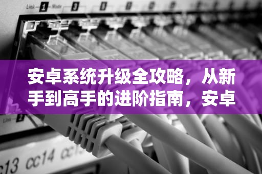 安卓系统升级全攻略，从新手到高手的进阶指南，安卓系统怎么升级到最新版本