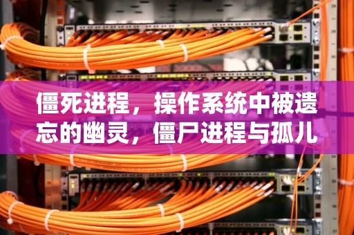 僵死进程，操作系统中被遗忘的幽灵，僵尸进程与孤儿进程的区别
