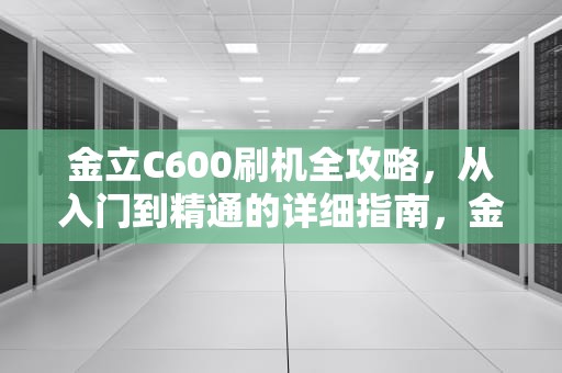 金立C600刷机全攻略，从入门到精通的详细指南，金立刷机教程图解