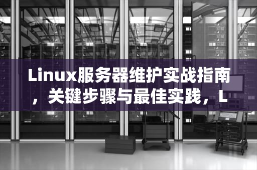Linux服务器维护实战指南，关键步骤与最佳实践，Linux服务器维护教程