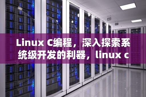 Linux C编程，深入探索系统级开发的利器，linux centOS