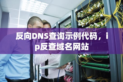 反向DNS查询示例代码,ip反查域名网站 反向DNS查询示例代码,ip反查域名网站