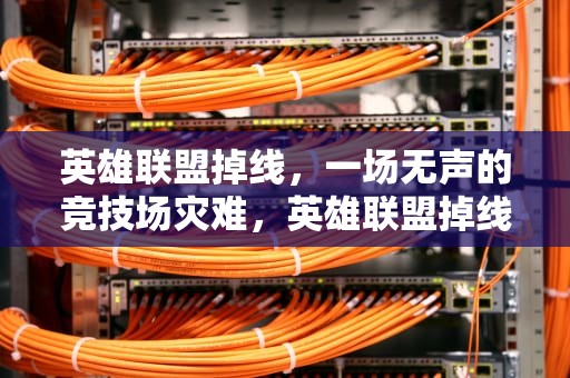 英雄联盟掉线，一场无声的竞技场灾难，英雄联盟掉线后再重新连接不上