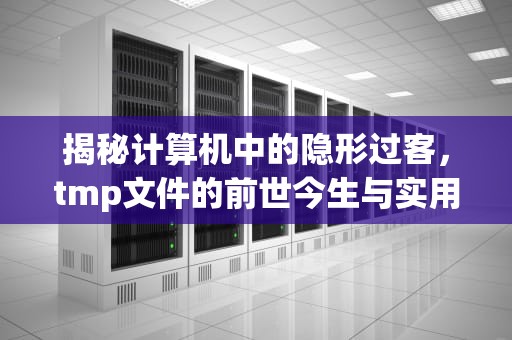 揭秘计算机中的隐形过客，tmp文件的前世今生与实用指南，tmp文件可以删除吗