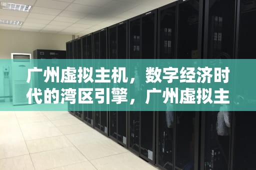 广州虚拟主机，数字经济时代的湾区引擎，广州虚拟主机生产厂家