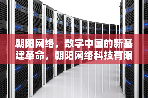 朝阳网络，数字中国的新基建革命，朝阳网络科技有限公司