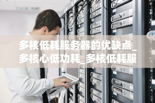 多核低耗服务器的优缺点_多核心低功耗_多核低耗服务器的优缺点
