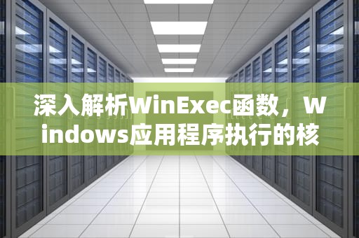 深入解析WinExec函数，Windows应用程序执行的核心机制，winexec函数