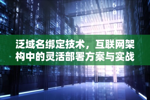 泛域名绑定技术，互联网架构中的灵活部署方案与实战指南，泛域名绑定有什么好看的