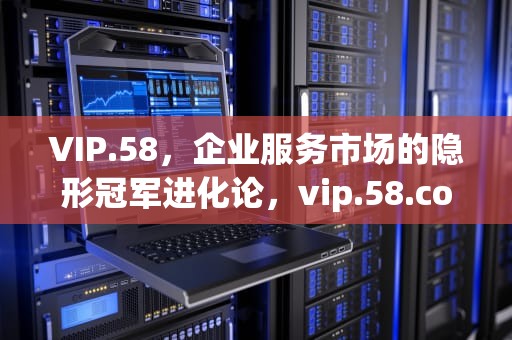 VIP.58，企业服务市场的隐形冠军进化论，vip.58.com