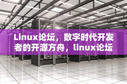 Linux论坛，数字时代开发者的开源方舟，linux论坛是干嘛的
