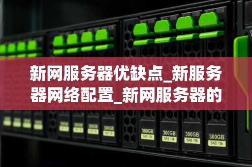 新网服务器优缺点_新服务器网络配置_新网服务器的优缺点分析
