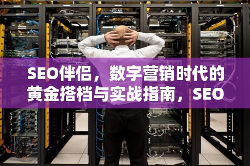 SEO伴侣，数字营销时代的黄金搭档与实战指南，SEO伴侣什么时候出的