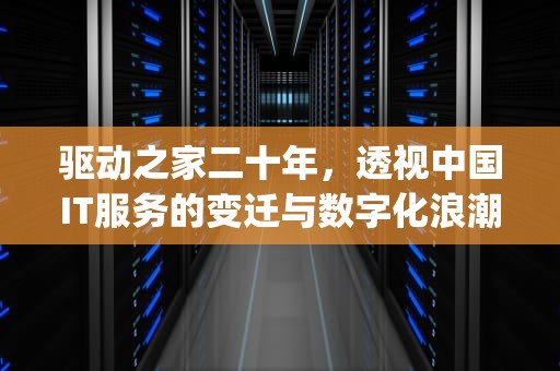 驱动之家二十年，透视中国IT服务的变迁与数字化浪潮，mydrivers是什么文件