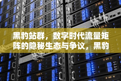 黑豹站群，数字时代流量矩阵的隐秘生态与争议，黑豹站群软件怎么样