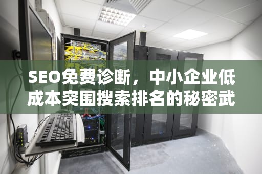 SEO免费诊断，中小企业低成本突围搜索排名的秘密武器，免费seo网站诊断