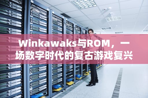 Winkawaks与ROM，一场数字时代的复古游戏复兴，winkawaks rom 下载