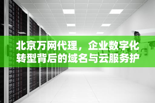 北京万网代理，企业数字化转型背后的域名与云服务护航者，北京万网是干什么的