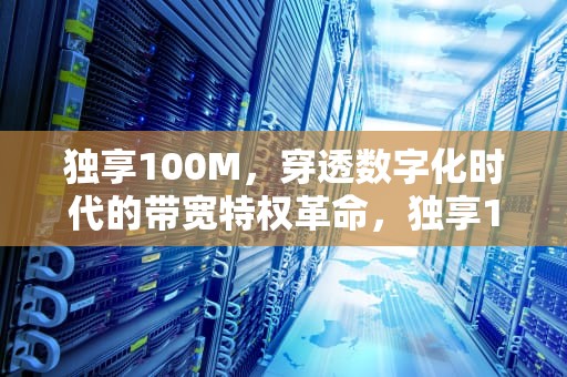 独享100M，穿透数字化时代的带宽特权革命，独享100m光纤多少钱