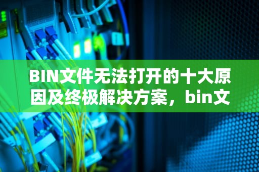 BIN文件无法打开的十大原因及终极解决方案，bin文件打不开怎么办