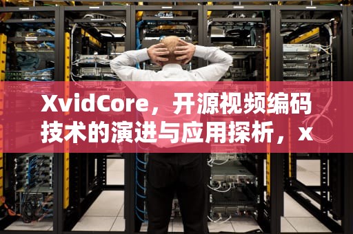 XvidCore，开源视频编码技术的演进与应用探析，xvidcore.dll
