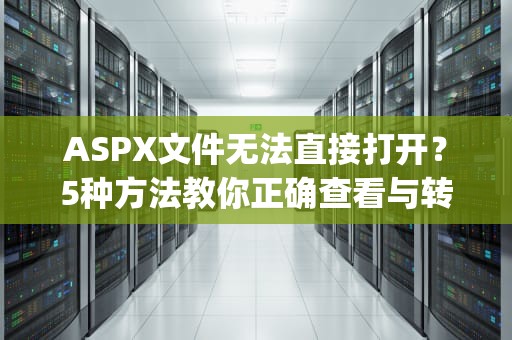 ASPX文件无法直接打开？5种方法教你正确查看与转换内容，aspx文件怎么打开手机