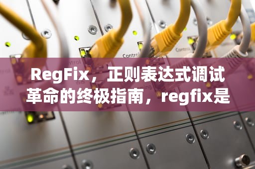 RegFix，正则表达式调试革命的终极指南，regfix是什么意思