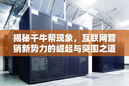 揭秘千牛帮现象，互联网营销新势力的崛起与突围之道，网络推广千牛帮怎么赚钱