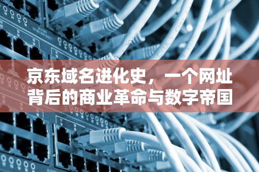 京东域名进化史，一个网址背后的商业革命与数字帝国崛起，京东域名正式更换是哪一年