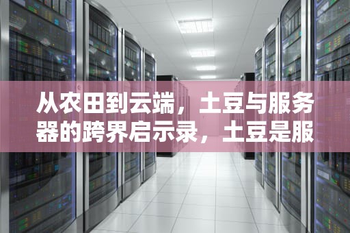 从农田到云端，土豆与服务器的跨界启示录，土豆是服务器