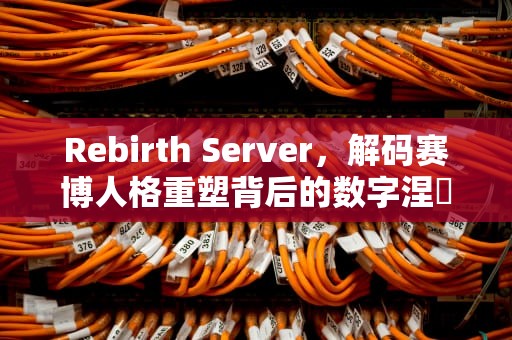 Rebirth Server，解码赛博人格重塑背后的数字涅槃哲学，重生服务器英文名叫什么名字