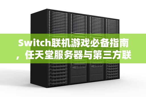 Switch联机游戏必备指南，任天堂服务器与第三方联机服务的深度解析，switch联机哪个服务器快