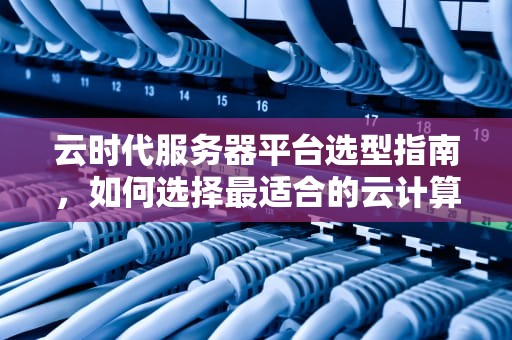 云时代服务器平台选型指南，如何选择最适合的云计算平台？什么平台服务器最好用