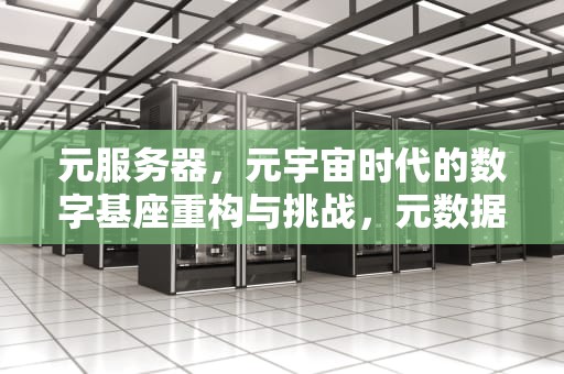元服务器，元宇宙时代的数字基座重构与挑战，元数据服务器
