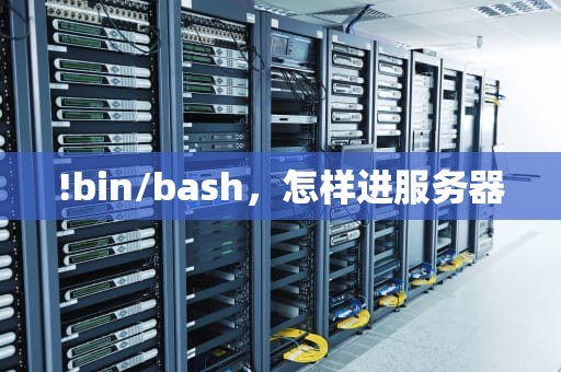 !bin/bash，怎样进服务器