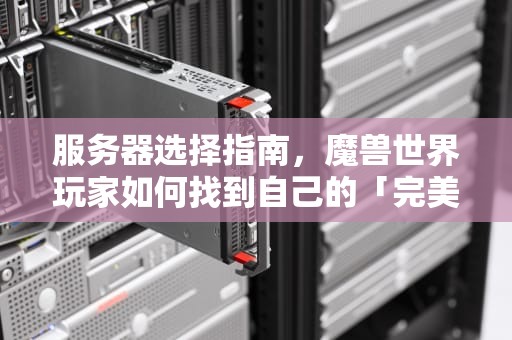 服务器选择指南，魔兽世界玩家如何找到自己的「完美战场」玩魔兽要玩什么服务器好