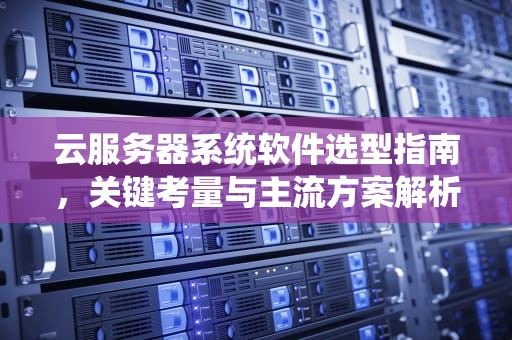 云服务器系统软件选型指南，关键考量与主流方案解析，云服务器系统选什么软件好