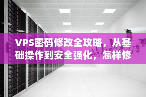 VPS密码修改全攻略，从基础操作到安全强化，怎样修改vps密码设置